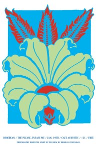 Poster for The Please Please Me and Dsoedean show 1/19/13.