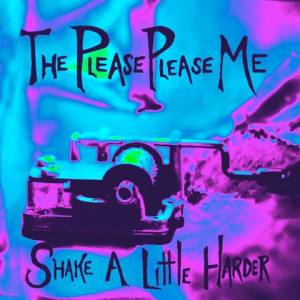 The Please Please Me - Shake A Little Harder