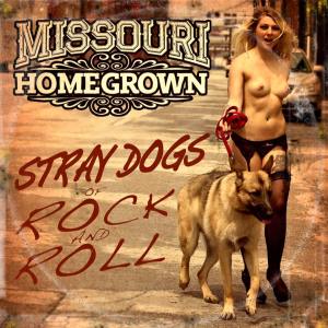 Missouri Homegrown - Stray Dogs of Rock N Roll