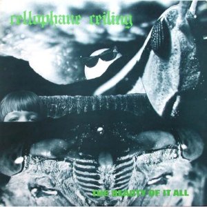 CellophaneCeilingTheBeautyOfItAll