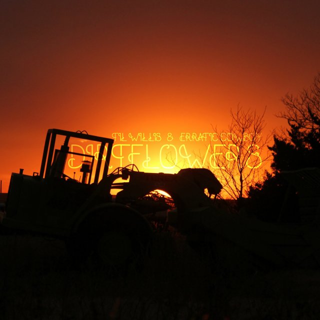 Til Willis & Erratic Cowboy - Dirtflowers